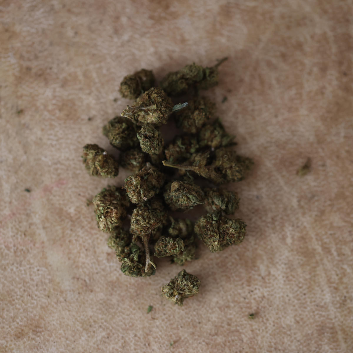 Kali Kush
