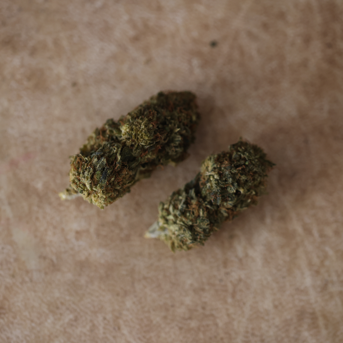 Kaliganja