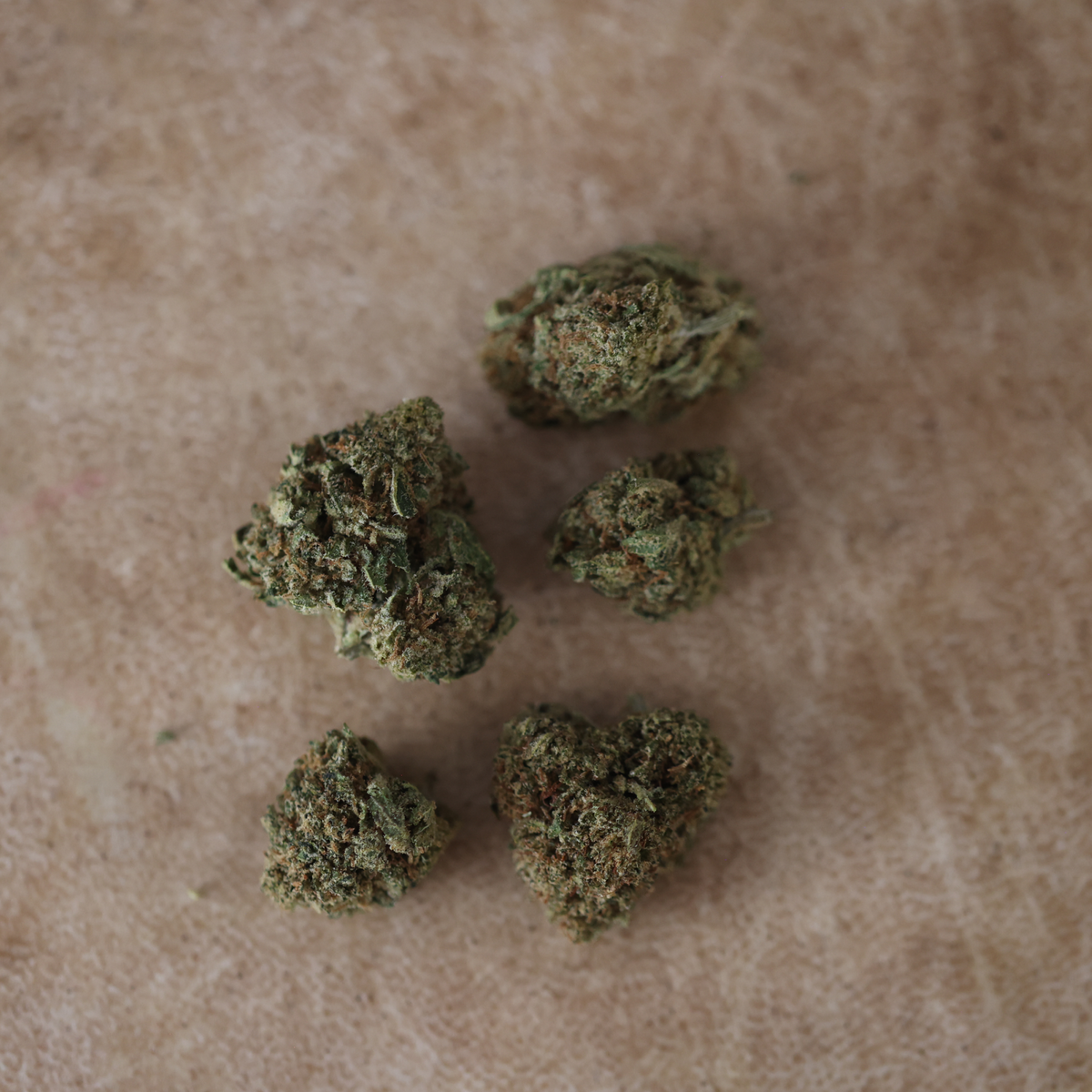 Mandarina