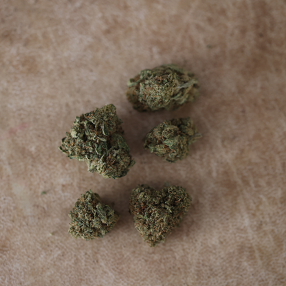 Mandarina