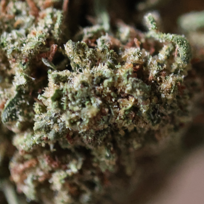 Cotton Candy