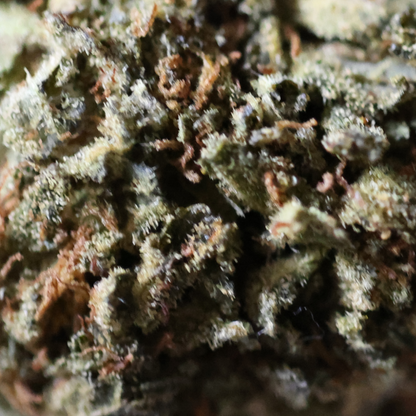 Kaliganja