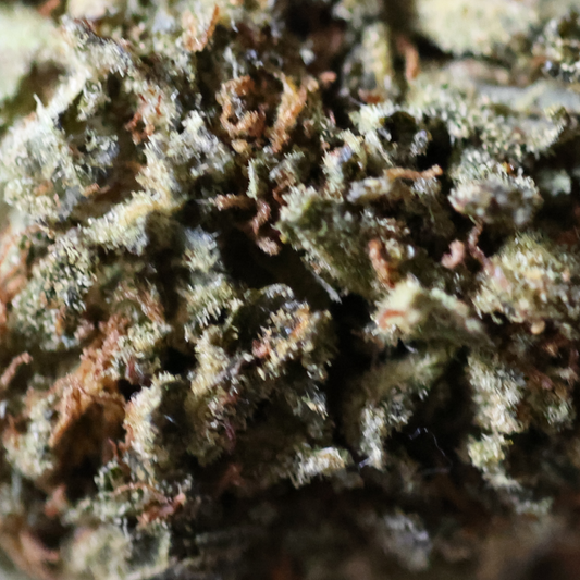 Kaliganja