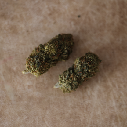 Kaliganja
